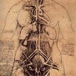 Las enfermedades del corazón: muy actuales, pero tan antiguas como la historia de la humanidad