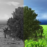 ¿Qué es la responsabilidad social corporativa y cuáles son sus fundamentos?