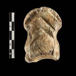 Ha­bla un hue­so ta­lla­do hace 51.000 años: los nean­der­ta­les fue­ron ar­tis­tas pio­ne­ros