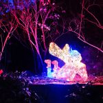 El Bosque Encantado, un lugar mágico en Madrid