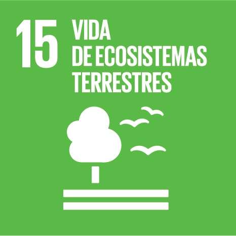 Objetivo Desarrollo Sostenible elegido para el Día Internacional de los Museos 2023.