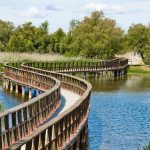 Redescubrir la naturaleza a través de Hegel: una propuesta dialéctica para la crisis ecológica del siglo XXI