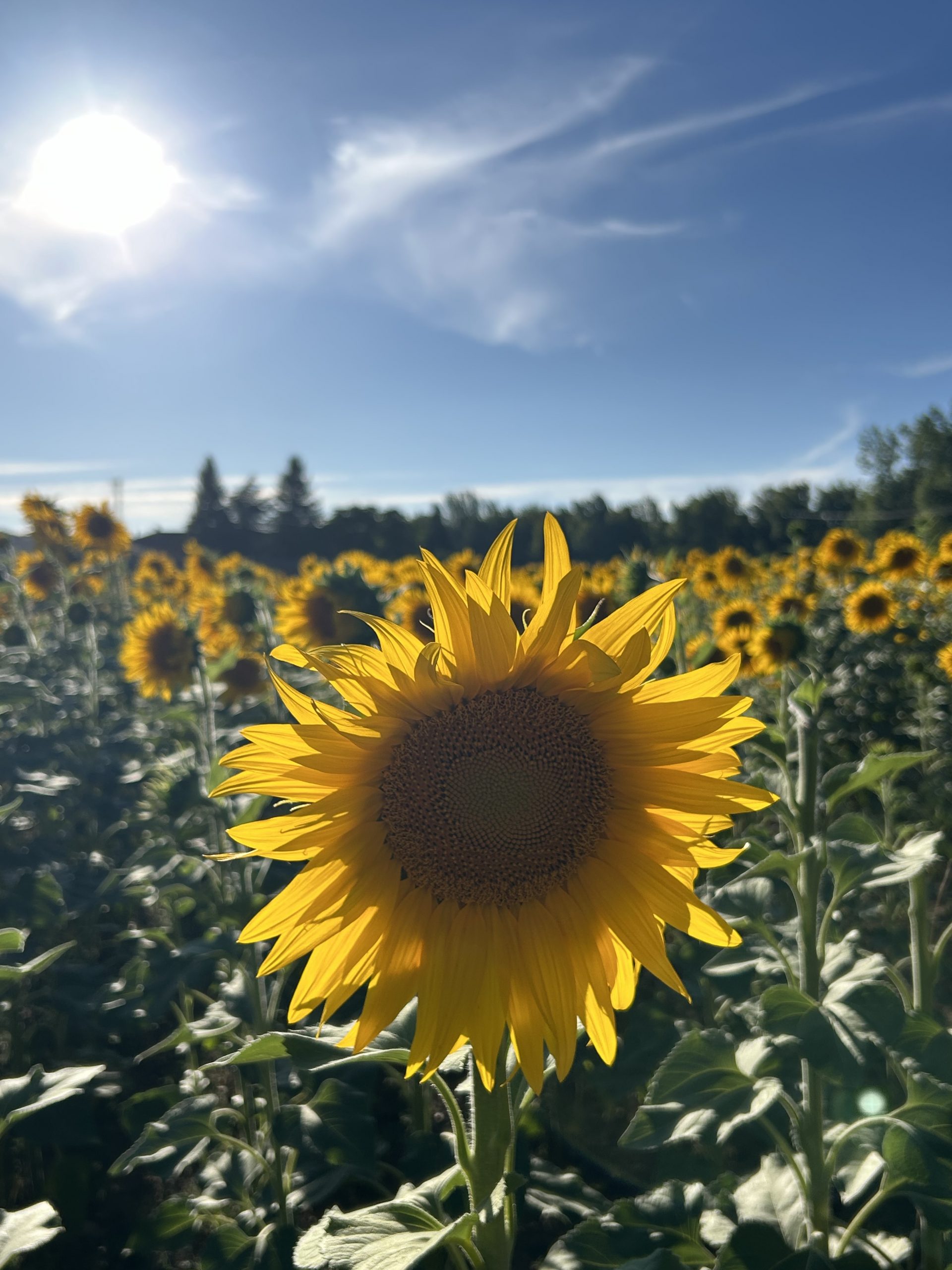El románico palentino: los 8 monumentos imprescindibles del&hellip;