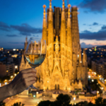 BWW 2026 será el gran escaparate del vino español